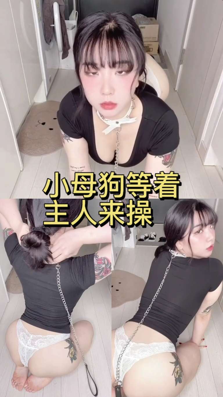 很骚的小狗等着主人操