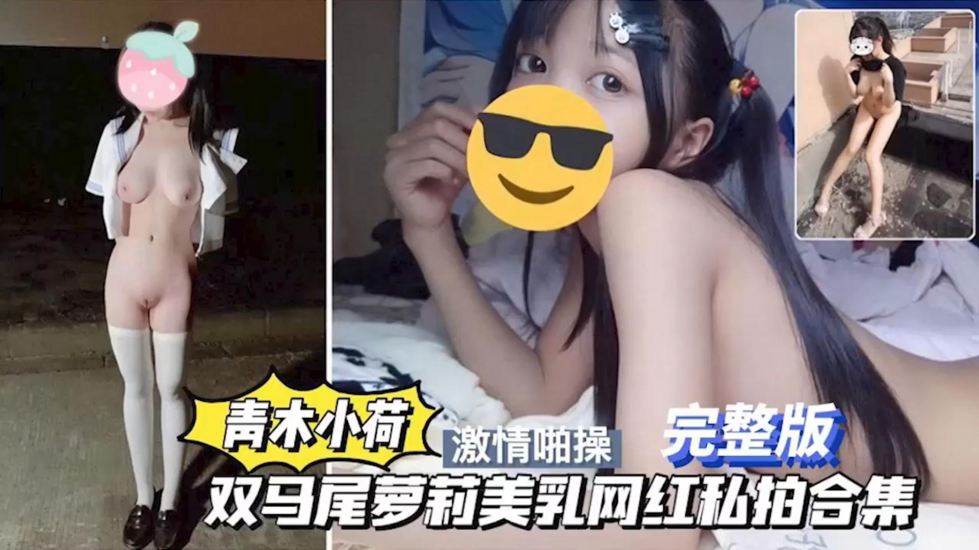 极品双马尾网红小萝莉私拍视频合集