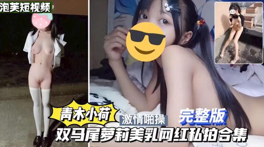 双马尾萝莉美乳网红私拍合集