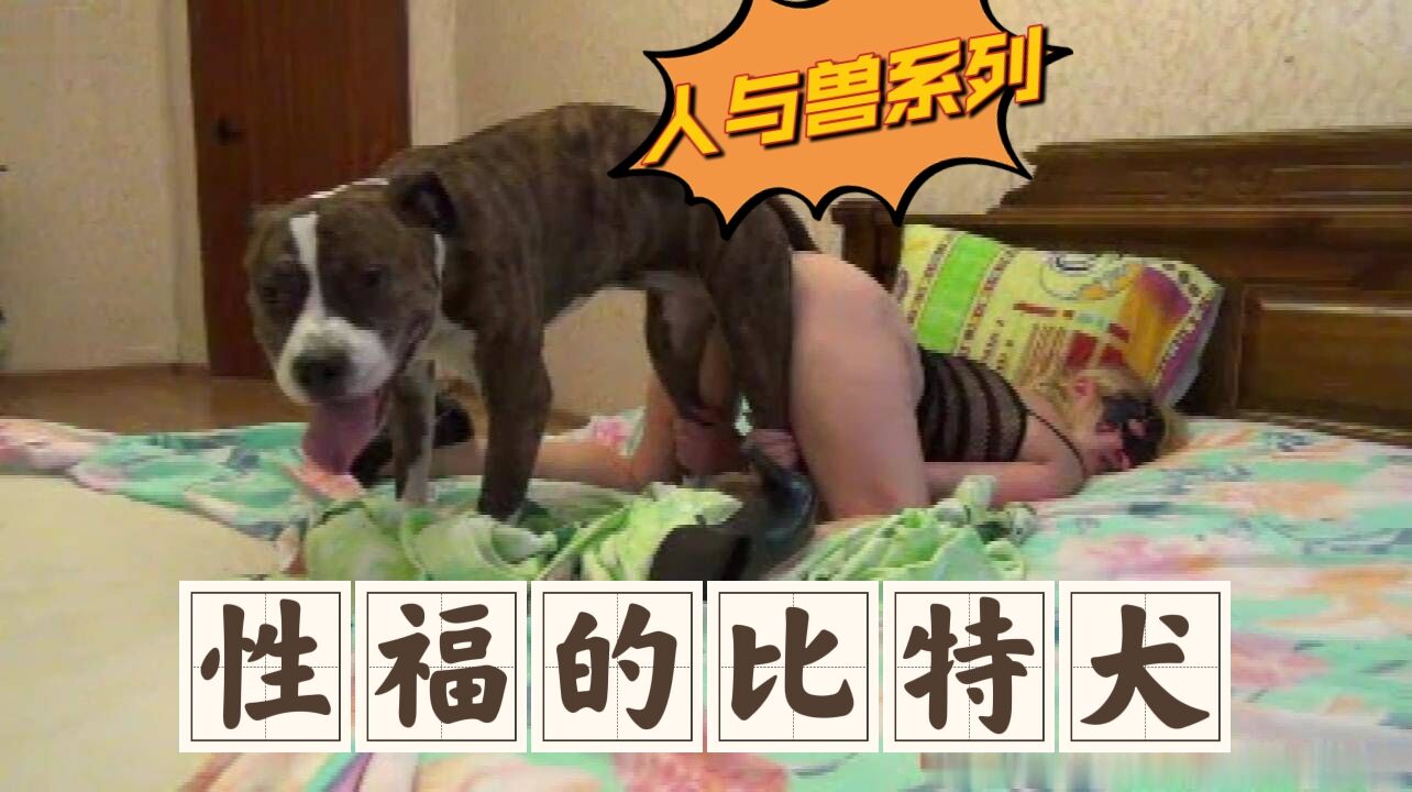 幸福的比特犬