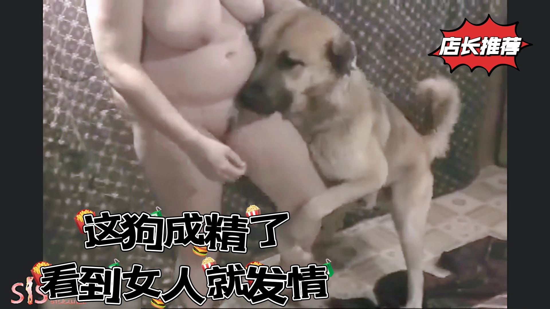 这狗成精了看到女人就发情