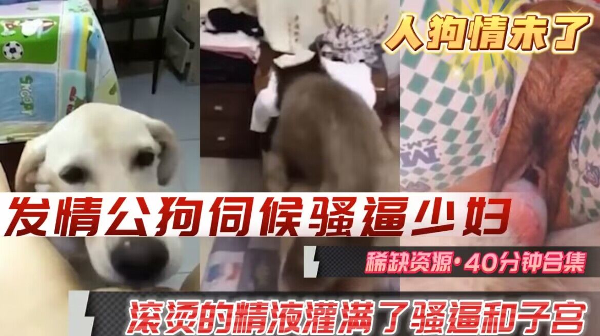 人狗情未了发情公狗伺候骚逼少妇骚逼和子宫里灌满了滚烫的公狗精液