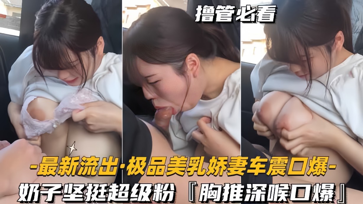 最新流出-极品美乳娇妻车震口爆奶子坚挺超级粉胸推深喉