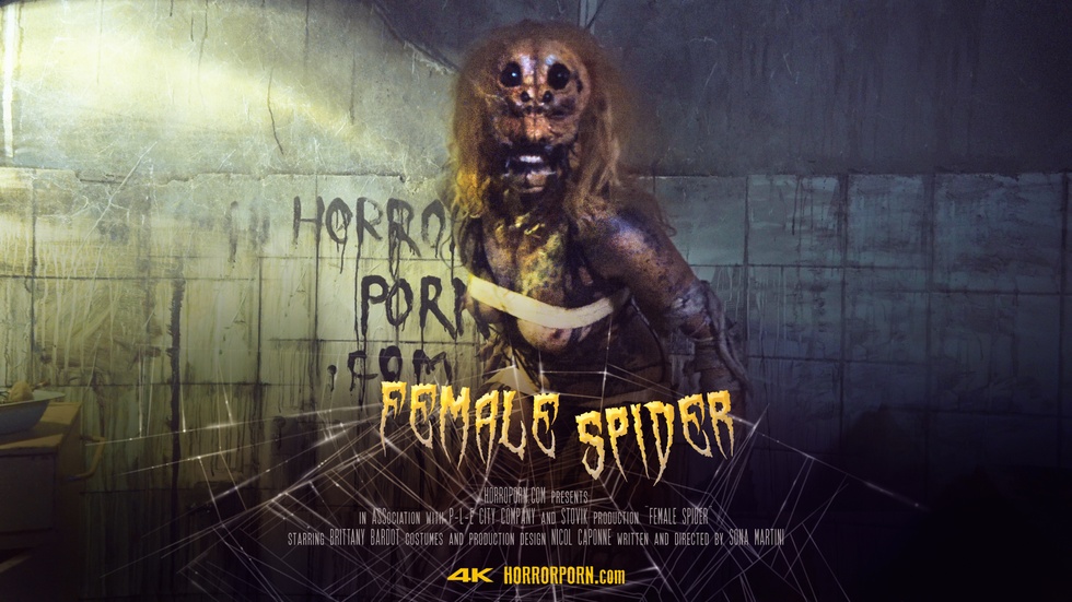 高清版-Femalespider雌蜘蛛