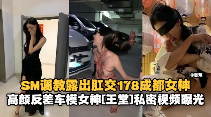 SM调教露出肛交178反差婊女神高颜值母狗私密黑料曝光