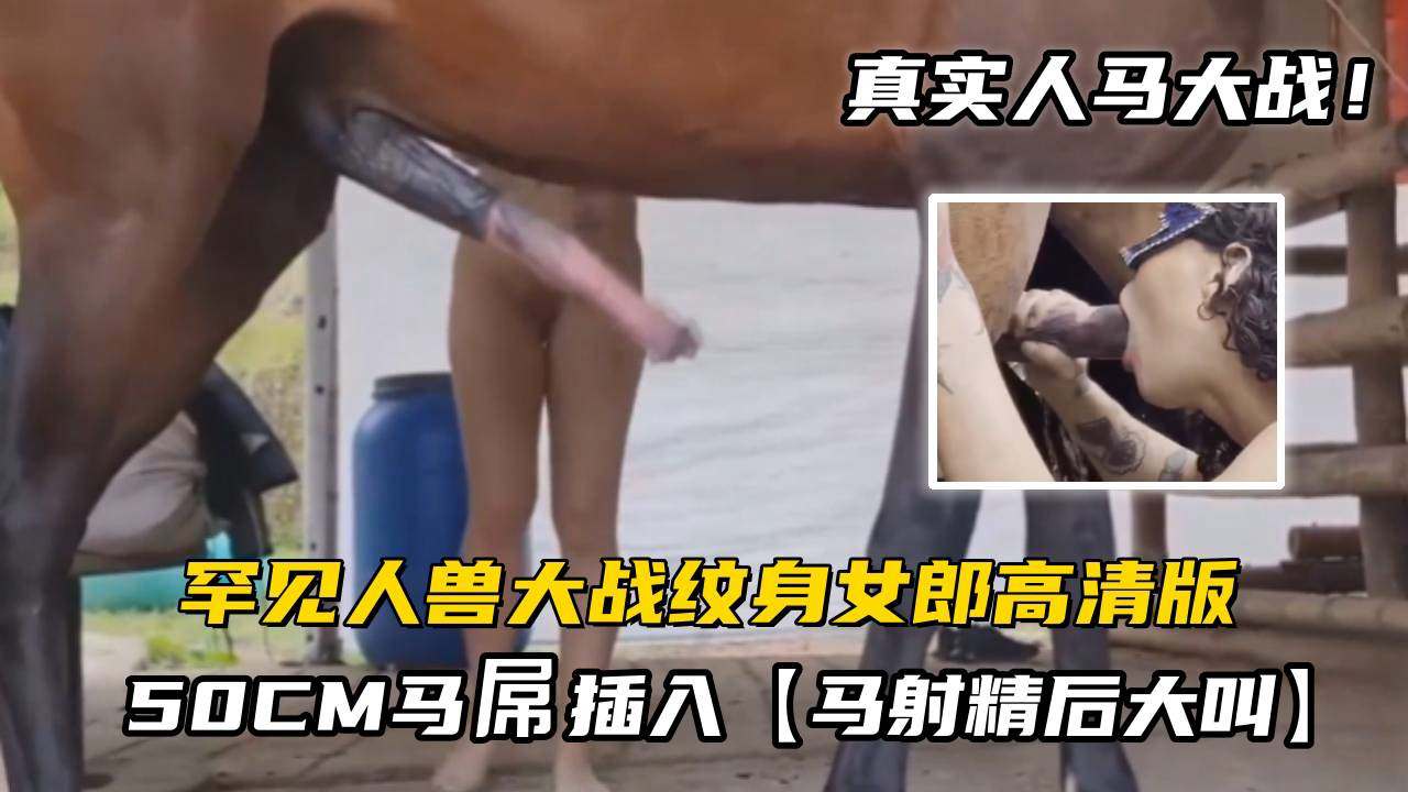 人马大战罕见人兽大战纹身女郎被50CM马屌插入马射精后大叫高清版