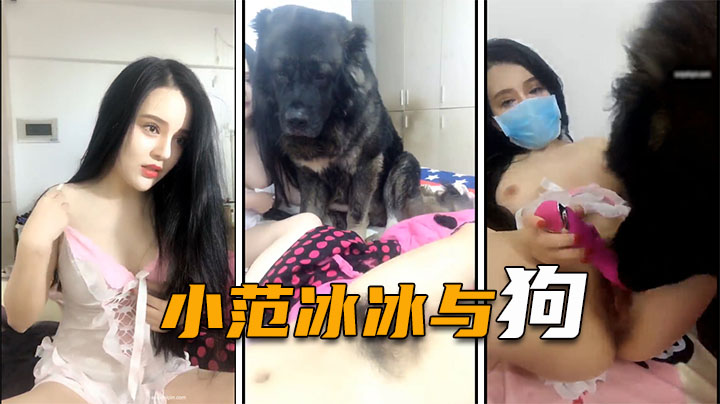 小范冰冰人兽大战巨型犬给女神舔逼