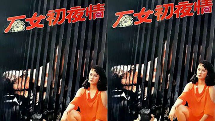 香港石女初夜情_摩登女性1985