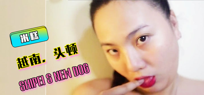 米糕-ShipeiSNewDog-越南头顿